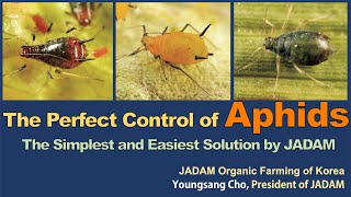 The Perfect Control of Aphids, The Simplest and Easiest Solution by JADAM screenshot 4