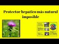 Protector hepatico lo más natural y como prepararlo