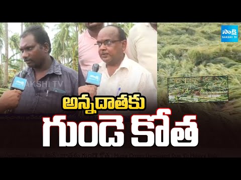 Montha Cyclone Effect: అన్నదాతకు గుండె కోత | Huge Crops Damaged Due To Heavy Rain | @SakshiTV - SAKSHITV