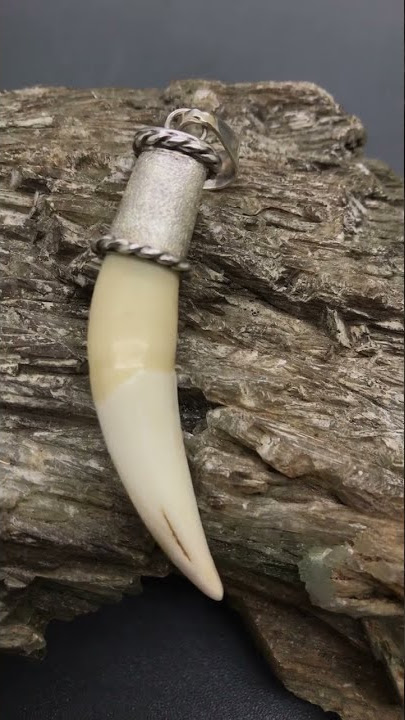 Pusaka Dunia Taring Macan Asli Maung Lodaya