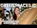 Unlock the secrets unboxing exotic plants from greenspacesid  how to acclimate imported plants