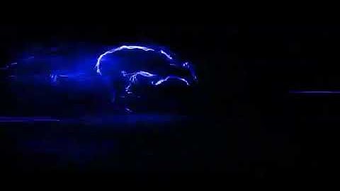 RUNNING PANTHER BLUE INTRO..
