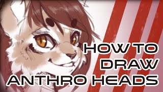 Furry Art 101 - How to draw the anthro head (Redone)