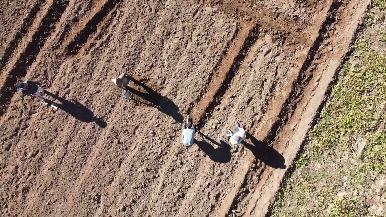 #Traditional_Agriculture_in_Morocco