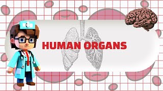 AR Human Organs Interactive Book | BITM2313a Human-Computer Interaction Project