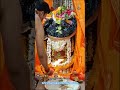 Har har mahadev 🕉️❤️🔱🌹 #mahakleshwar #bholenath #ujjain #mahadev #ujjainmahakal #shivshankar