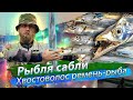 КИШАЩЕЕ РЫБОЙ море, морская рыбалка ночью. РЫБА-САБЛЯ. Тайвань. 2019/08