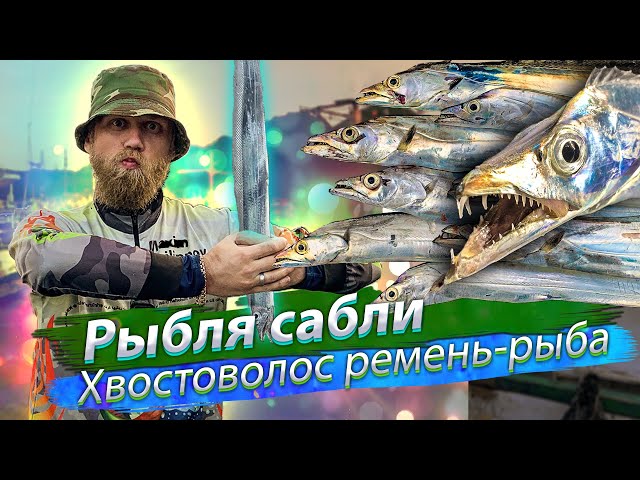 КИШАЩЕЕ РЫБОЙ море, морская рыбалка ночью. РЫБА-САБЛЯ. Тайвань. 2019/08