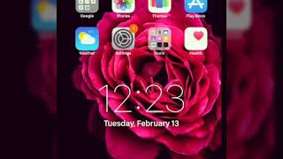 How to solve theme problem of Rose IOS screenshot 4