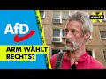 AfD-Erfolg in der Platte in Dresden – arm wählt rechts? | Doku | exactly