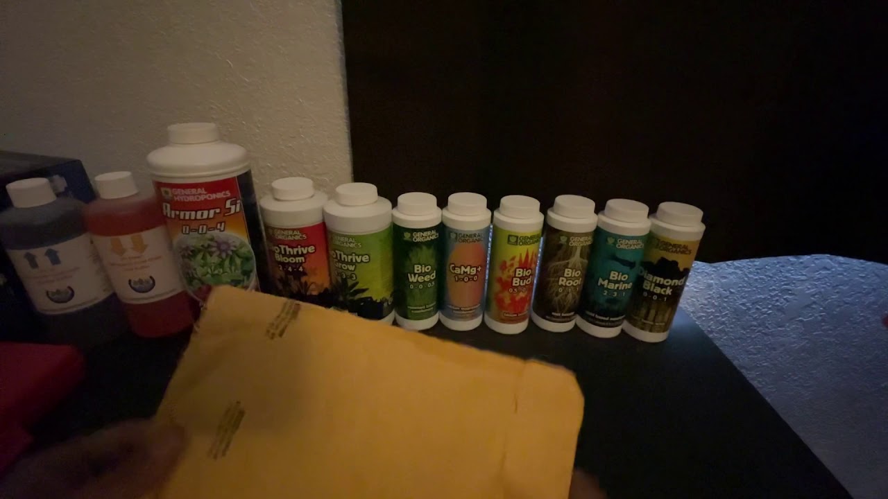 Seedsman seeds unboxing!!!