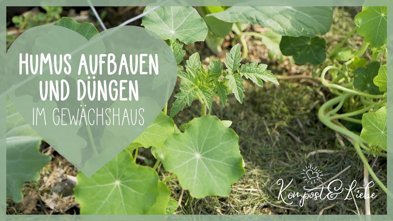 💚 Humus aufbauen im Gewächshaus 🍅 Biologisch düngen mit Mulch und