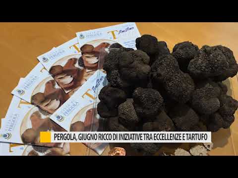 Pergola, giugno ricco di iniziative tra eccellenze e tartufo