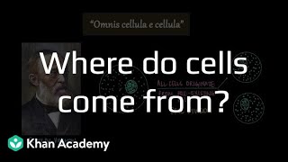 Where do cells come from? | Cell Structure and Function  | Grade 9 | Biology | Khan Academy