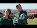 Introduction to Circle Oak Equine, Sports Medicine and Rehabilitation