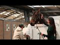 Introduction to Circle Oak Equine, Sports Medicine and Rehabilitation
