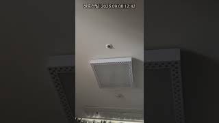 [세곡동 센트라빌] 입주민 제보 영상 · 2026.9.8 12:42