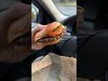 Jai test le master bacon grill   non sponso shorts burger degustation fastfood