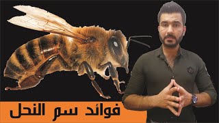 فوائد لسع النحل والتداوي بسم النحل   البايولوجي