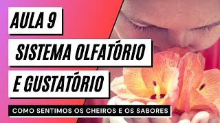 Videoaula 9 Sistema olfatório e gustatório - COMO SENTIMOS OS CHEIROS E OS SABORES?