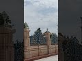 #Radhe #Radhe braj jan man sukhkari #shyama shyama shyam #trending #travelvlog #travelling
