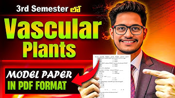 3rd Sem Botany Model Papers | Vascular Plants Model Papers