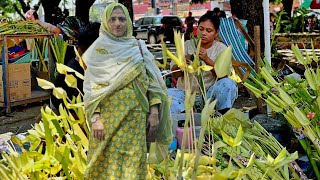 കുരുത്തോലപ്പെരുന്നാൾ (palm sunday) malate church manila philippains...