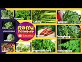 Learn names of vegetables w raffyteacher