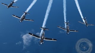 RNZAF Black Falcons And Nine Ship Texan Formation.