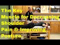 The Key Muscle for Decreasing Shoulder Pain & Improving Posture of the Shoulder.