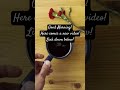A Bizarre Tale about love! Please check it out! #helpmemakethismakesense #funny  #memes #love