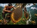 Wild Honey Hunt on a Vertical Giant Tree… So Many Hives You Must Watch Till the End