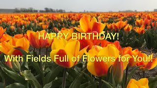 Happy Birthday to you! Here is a Present for You... A beautiful flower for a Beautiful Flower!