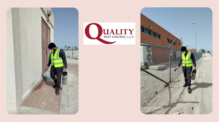 Preventive Pest Control Services to Companies in Dubai, Fogging for Ants  Extermination in UAE.