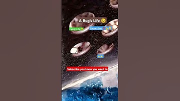 #onedaymatters #youtubeshorts #bugs #bug #youtuber #motivation #naturelovers #onthisday #outside 💯💪😜