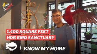 This Man Built A Bird Sanctuary In His 1,400 Square Feet HDB | Know My Home