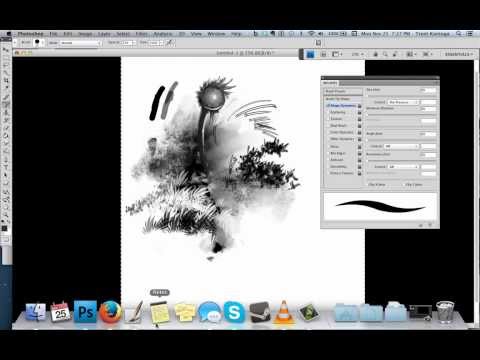 Photoshop Brushes  - CRAZZZZY Advanced stuff.