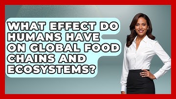 What Effect Do Humans Have On Global Food Chains And Ecosystems? - Explaining Ecology