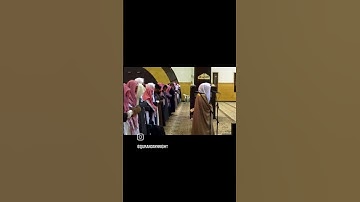 الشيخ ياسر الدوسري سورة القصص اكتب شيء تؤجر علية ❤❤