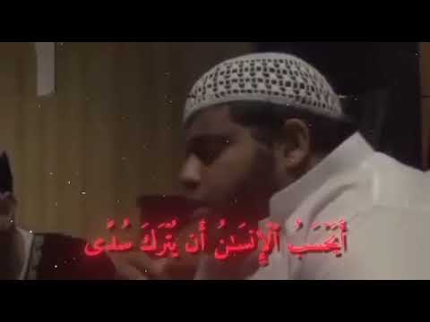 أيحسب الإنسان أن يترك سدى لا والله حاشاه سبحانه وتعالى