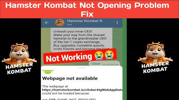 How to Fix Hamster Kombat Not Opening (2024) | Hamster Kombat Webpage Not Available