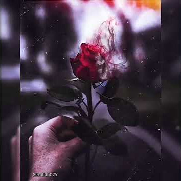 Story wa muslimah- allah allah aghisna ya rasulullah