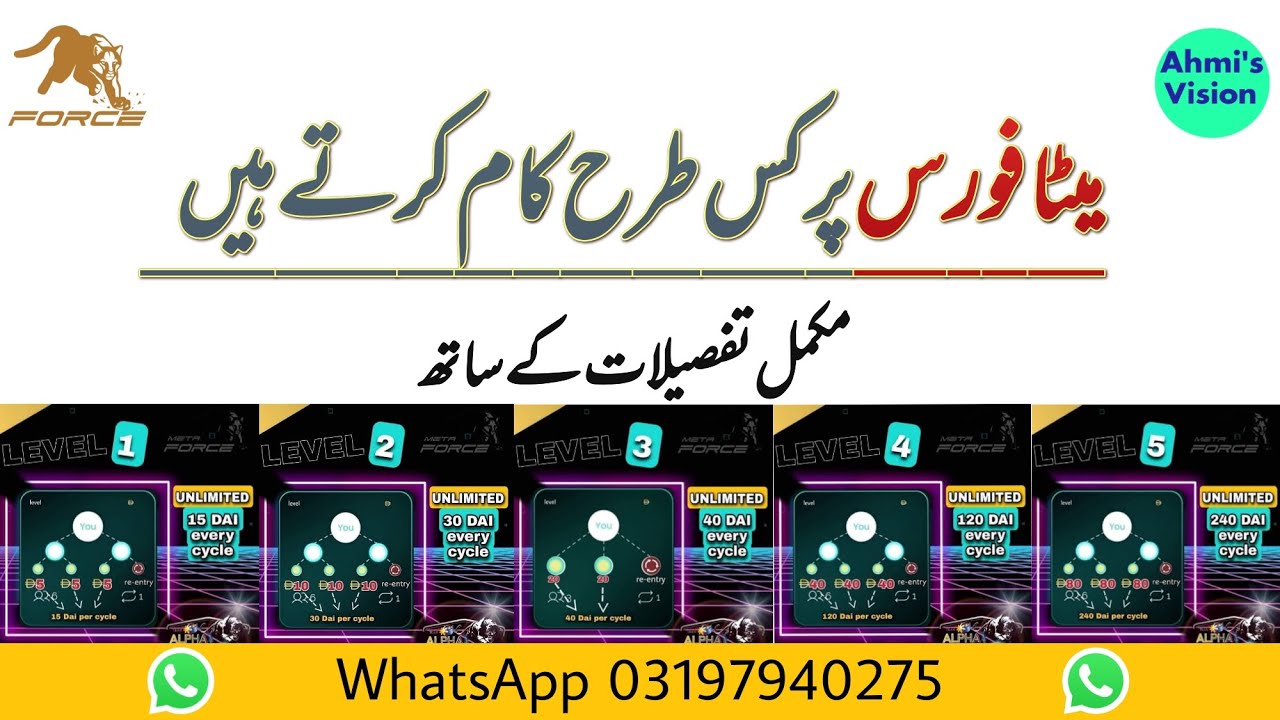 How To Work On MetaForce Whats The Work Of MetaForce MetaForce All Details and Information Urdu