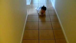 MVI_8530.avi