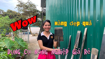 Đại lý dầm đánh cây thép oto chuẩn sịn , dầm cổ cò , dầm bản thẳng