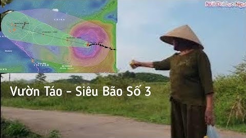 Vườn Táo Trước Khi Đón Siêu Bão số 3 ( Bão Yagi) l Núi Đồi Lục Ngạn