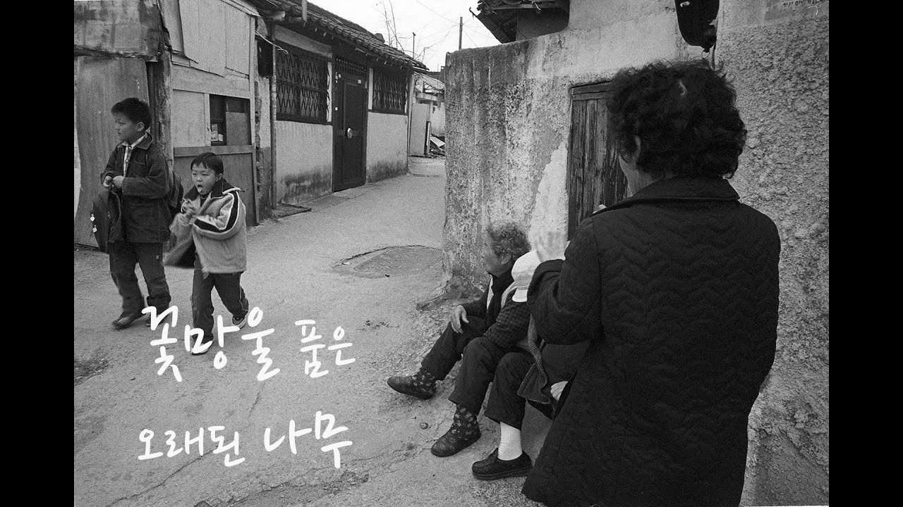 꽃망울을 품은 오래된 나무, The old and The young - YouTube