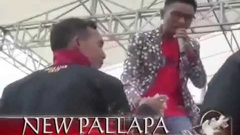 Rani-Gerry Mahesa New Pallapa  Live in Blandok Indah Plawangan R