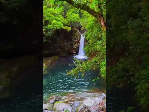 Enchanting Bluish Waterfall Of Nikobuchi In Kōchi Prefecture #waterfall #kochi #japan #rain