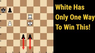 Can You See The Only Move